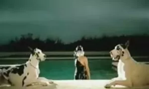 Sau khi chơi bóng chuyền, một cô gái tóc đỏ vận động viên trớn lớn của một bà đấm bóp, người đổ dầu vào khách hàng của cơ sex nhat ban hd khong che thể tròn trịa và vuốt ve cô ấy có lông.